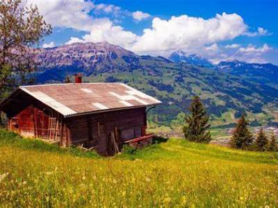 Caso de éxito: Inmueble ocupado, delito de&nbsp;usurpación.